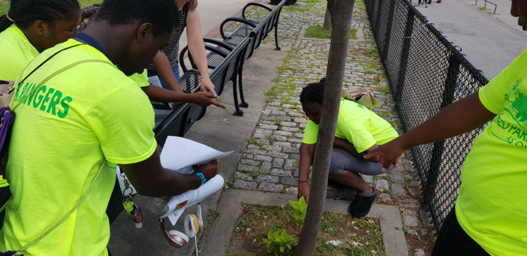 Participants observing plants and discussing growth during a Park Rangers Environmental Enrichment Program activity