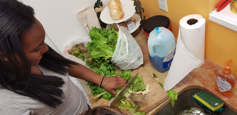 Participant preparing freshly harvested produce during a Park Rangers Environmental Enrichment Program activity